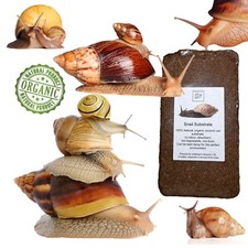Giant African Land Snail Soil, Land Snail Substrate, Coco Coir 8-9L block