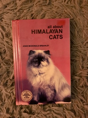 All about himalayan cats - himalayan, by