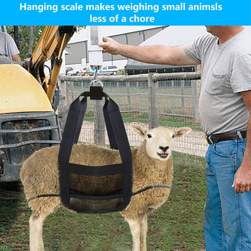 Calf sling for weighing - sling,
