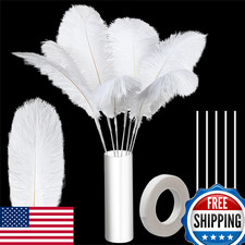 80 Pcs Ostrich Feathers Bulk