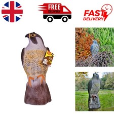 Durable Life-like Falcon