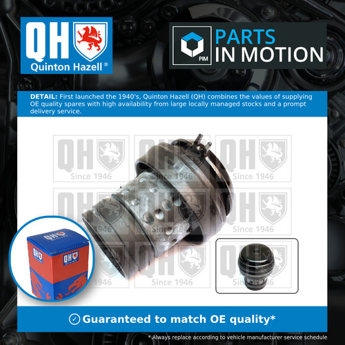Engine mount fits - fits, vw