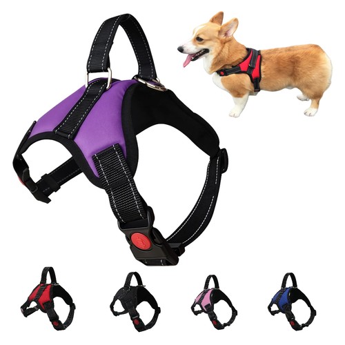 Dog vest harnesses - dog, pull
