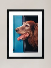 RED IRISH SETTER Framed Art