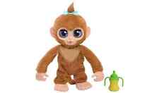 Peanut The Playful Monkey