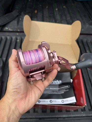 Accurate tern 500 reel new - accurate,