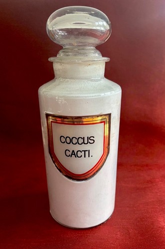 Antique apothecary jar - apothecary, –