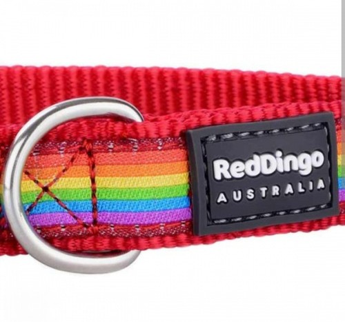 Red dingo rainbow dog - dog, collar