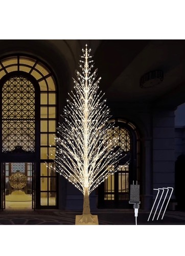 Rgb birch tree with - ft,