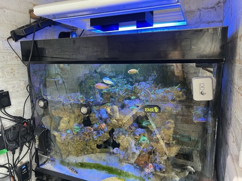 Marine tank break - marine,