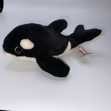 Aurora Orca The Killer Whale