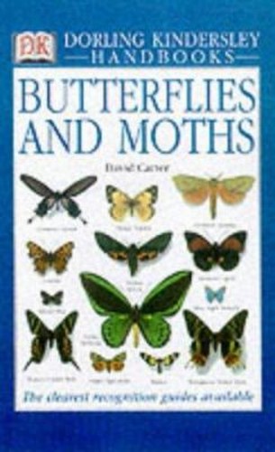 Butterflies and moths - and,