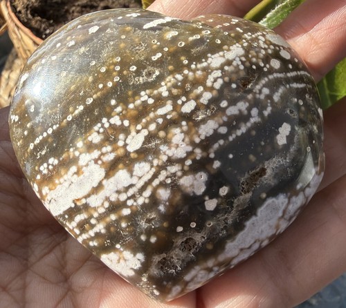 Ocean jasper palm stone - jasper,