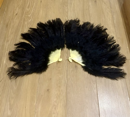 Pair black ostrich - black, feather