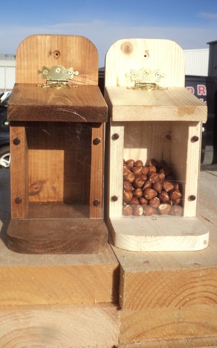 Squirrel feeding box made - feeding, box-