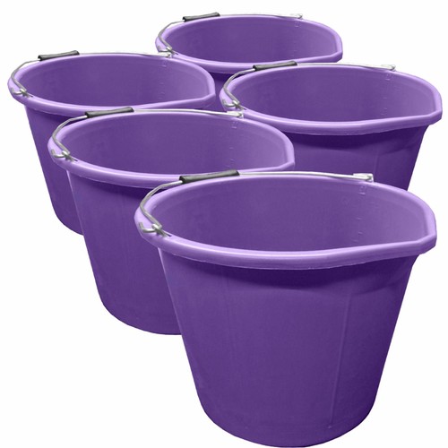 Purple bucket gallon - 3,