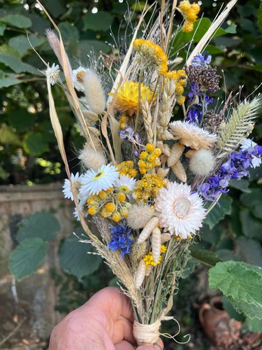 Small dried flower - small, bouquet