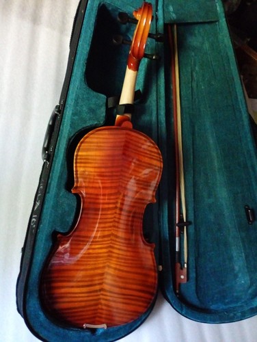 Stunning viola back - viola,