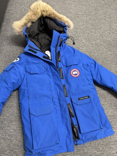 Canada goose expedition - goose,