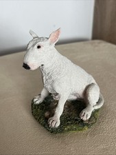 English bull terrier - english,