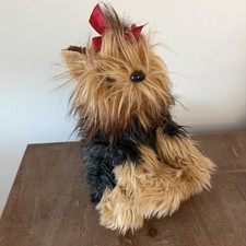 Dog Yorkshire Terrier Chewie
