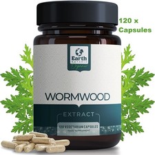 Best Parasite Cleanse Detox