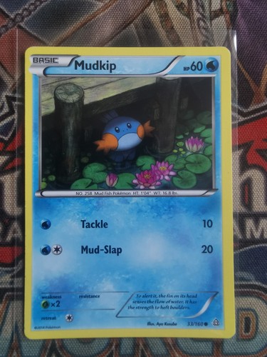 Mudkip 160 common primal - xy,