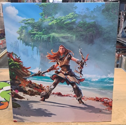 Horizon forbidden west - horizon,