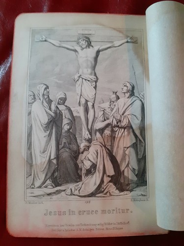 Jesus cruce moritur bible - jesus, in