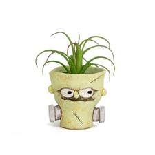 Bolt Frankenstein Planter  ~