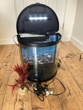 interpet fishbox 19 led fish tank complete with plant, filter and heater. 