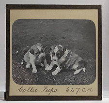 Antique Magic Lantern Slide -