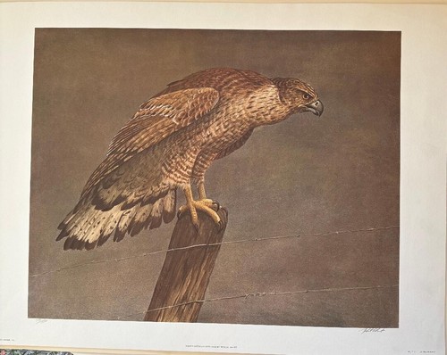Original art north - original, american