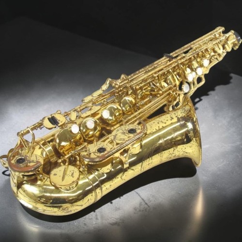 Yanagisawa used alto - yanagisawa,