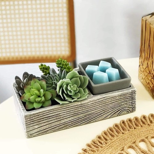 Scentsy suc cute lent - scentsy, 🎍🪴