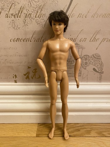 Articulated ken doll 2009 - ken,