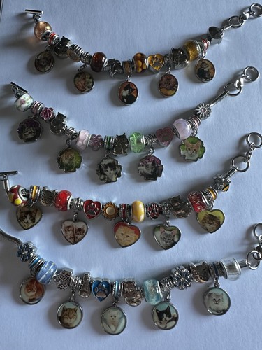 Danbury mint pet photo - pet, charm