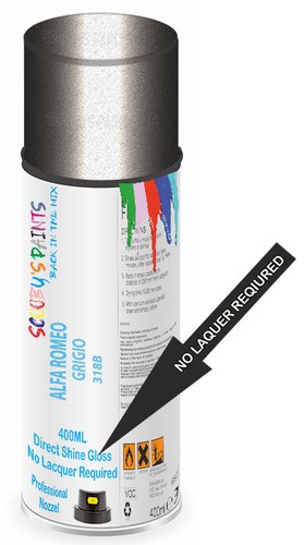 Spray paint for - spray,