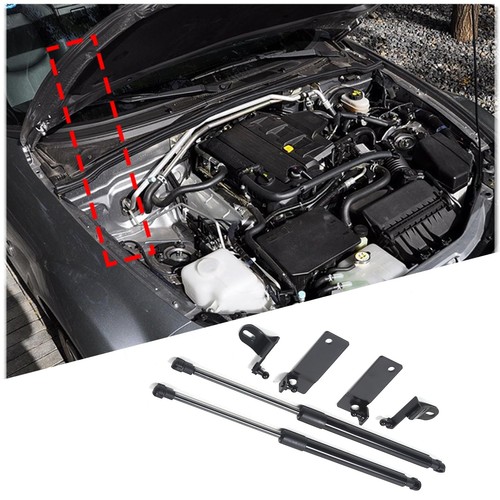 Front hood lift - front,