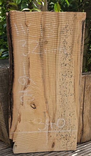 Spalted chestnut live - spalted, edge