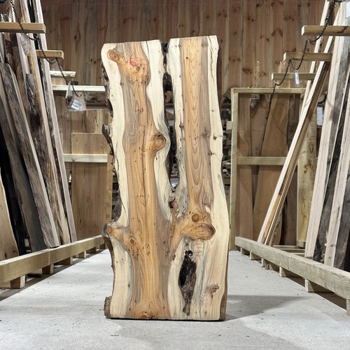 Yew plank board waney - yew,