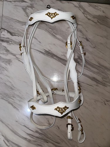 Horse bridle with reins - bridle, in