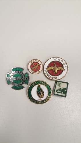 British field sports - field, society
