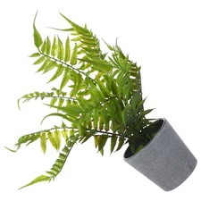  Mini Artificial Potted Fern