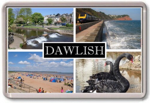 Fridge magnet dawlish - fridge,