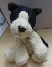 Russ Luv Pets Boston Terrier