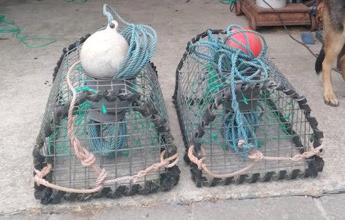 Lobster pot with rope and - lobster,