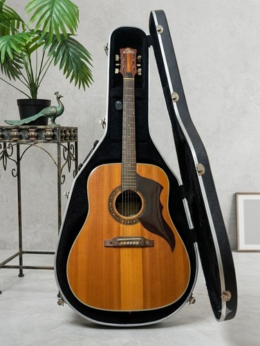 Eko ranger vintage - vi, acoustic