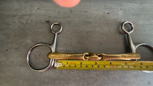 Neue schule salox - schule,