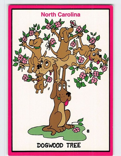 Postcard dogwood tree art - postcard,